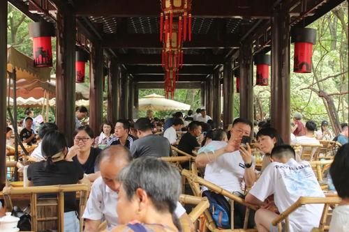 成都学校茶馆爆料最新,揭秘校园里的茶文化新风尚  第2张